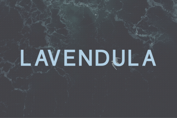 Elevate Your Brand Identity with the Lavendula Typeface
