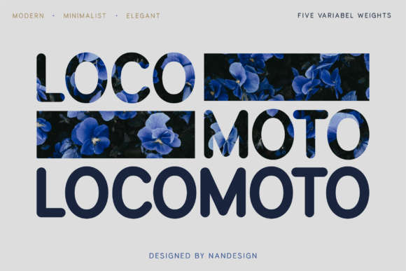 Locomoto Rounded: A Friendly Sans Serif for Modern Branding