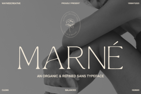 Marne: The Modern Sans Serif Font for Small Business Branding