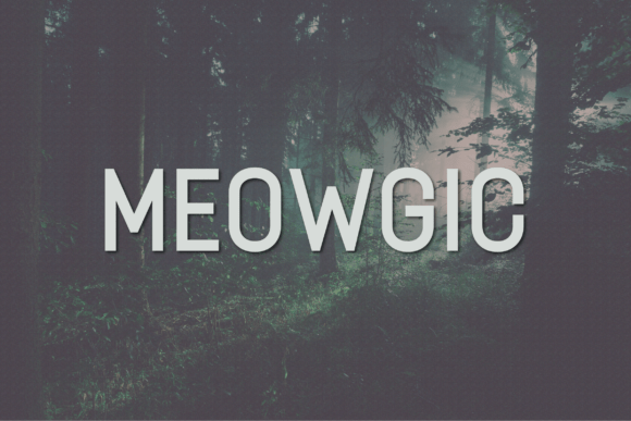 Meowgic: The Modern Typeface for Clear Campaigns