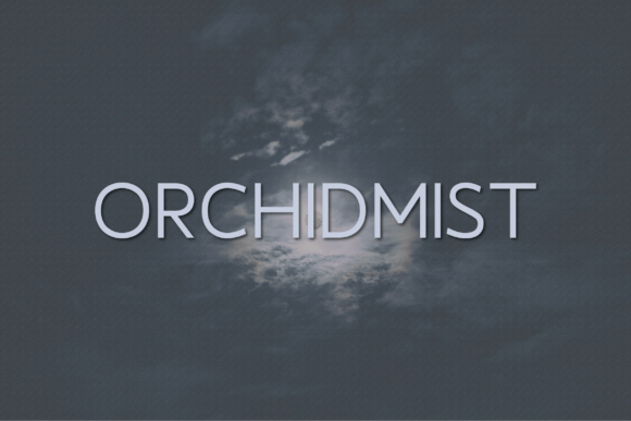 Orchidmist: A Modern Sans Serif for Editorial Clarity
