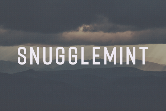Snugglemint: The Modern Sans Serif Typeface for Clear Campaigns