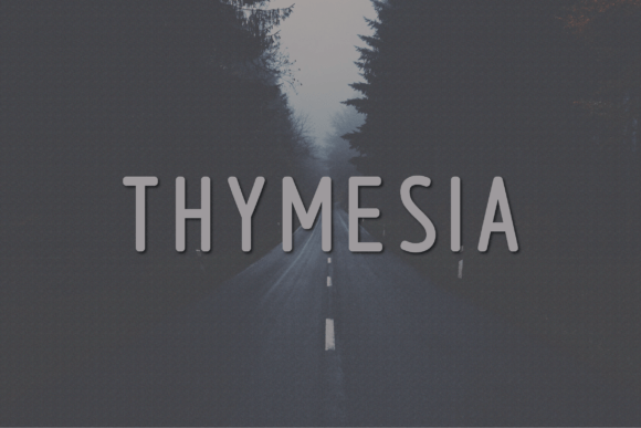 Thymesia: The Modern Sans Serif Font for Polished Brands